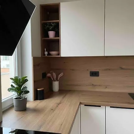 Mely Rose Apartment Ljubljana Exterior photo