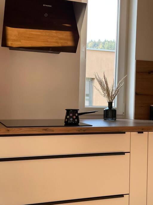 Apartment Mely Rose